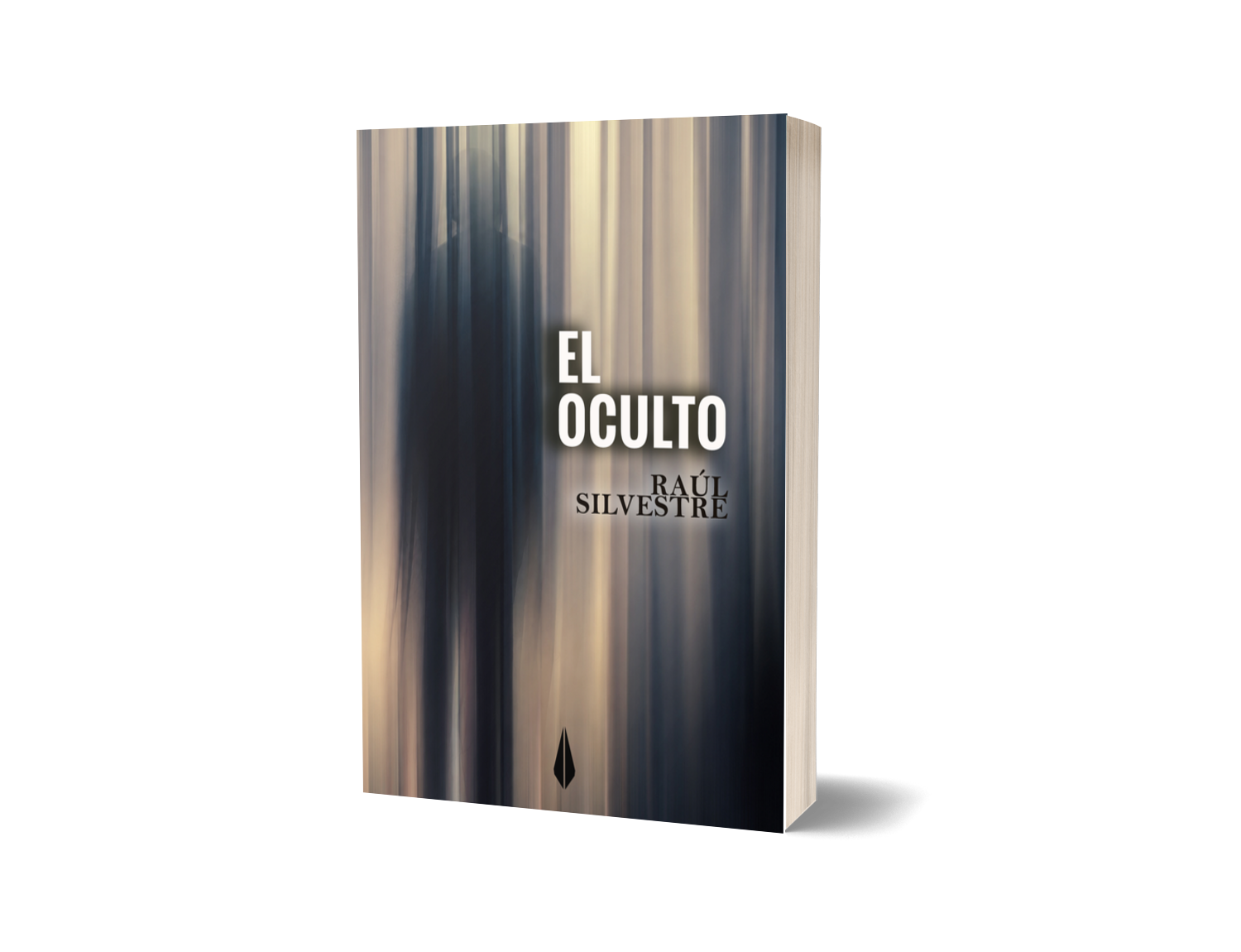 El oculto 3D, Raúl Silvestre, Ed. Fundacion